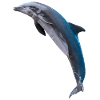 Dolphin jumping, Natural, left