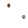 Café et bracco italiano