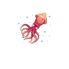 Squid
