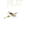 Airplane Pilot Future Pilot