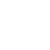 Petit Bleu de Gascogne