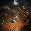 Awesome wolf in the dark night