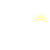 Sunny