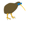Kiwi Bird with Sunglasses