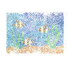 Aquascape Aquascaper Aquarium Aquaristics