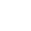 Orangutan