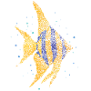 Scalar Ornamental Fish Aquarium Aquarium Aquarium