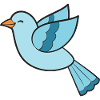 Bird Birds