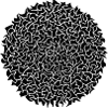 Black Circle