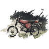 Enduro S51