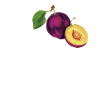 Dear plums