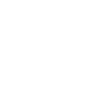 Labrador Retriever - LABBI
