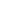 Vizsla Dad Magyar Vizsla