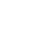 Vizsla Mom Magyar Vizsla
