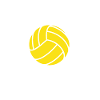 Volleyball Coach