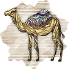 Camel