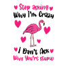 Flamingo Pink Flamingo Flamingo Gift
