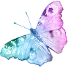 Schmetterling