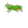 Kawaii Grasshoppers
