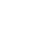 Wind Rose