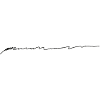 Line Line Drawing Sketch