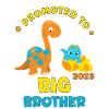 Big brother 2023