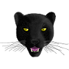 Panther R6Z