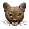 Cougar R6Z