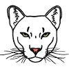 Cougar black R6Z