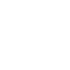 Pangolins The Pangolin Whisperer