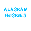 Alaskan Husky