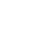 American Bully Papa