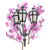 Cherry Blossom Lantern