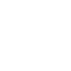 Lion King the Lion King