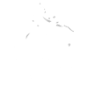 Tatoueur Tattoo Tattoo Studio