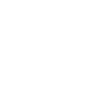 Camionnette USA Voiture