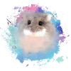 zwerghamster,hamster,bunt,graffiti,malerei