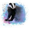 grævling, skunk, graffiti, maleri, farverig, blå