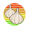 Garlic Garilc Joke Garlic Cloves