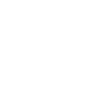 2009