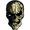 skull head of death halloween