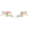 Rose Flowers Leaves
