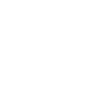 Bouvier des Flandres « Black Edition »