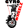 Gyroride1