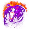 Fire bear