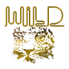 wild,gold,panther,leopard,wildkatze,wildcat