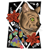 miao miao