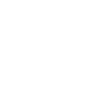 Funny Hedgehog Shirt