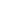 Skull Pirate