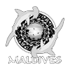 Maldives Hammerhead Sharks
